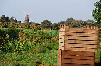 Mühle York
