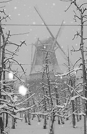 Mühle York